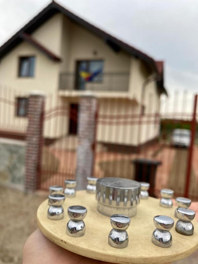Apartament Casa Brancusiana Târgu Jiu Zewnętrze zdjęcie