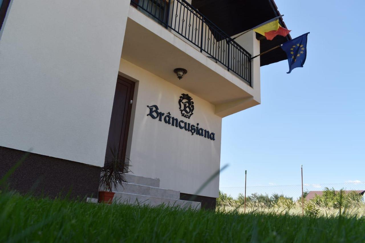 Apartament Casa Brancusiana Târgu Jiu Zewnętrze zdjęcie